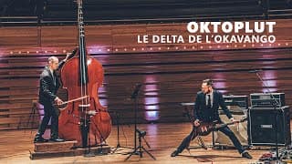 Le Delta de l'Okavango