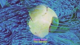 The Garden