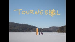 Le soleil / Tournesol