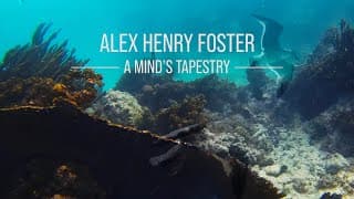 A Mind's Tapestry