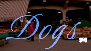 Dogs