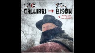 Grand bison