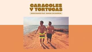 Caracoles y Tortugas
