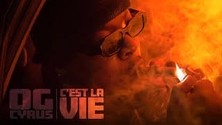 C'est la vie