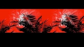Les palmiers brûlent dans la nuit
