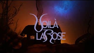Voilà la rose