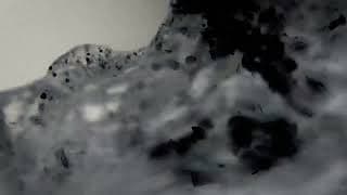 Empire (Or the Fall of Humanity)