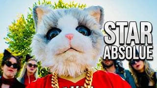 Bébé chat