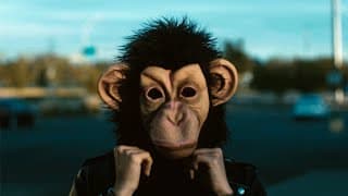 Monkey See Monkey Do