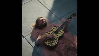 Les oiseaux migrateurs