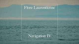 Navigation IV