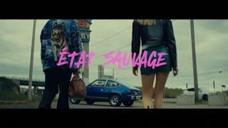 État sauvage