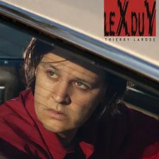 Pochette de Le X du Y – Thierry Larose