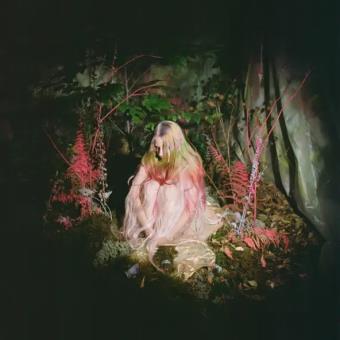 Pochette de Les steppes – Mélanie Venditti