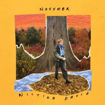 Pochette de Novembr – Wilting David
